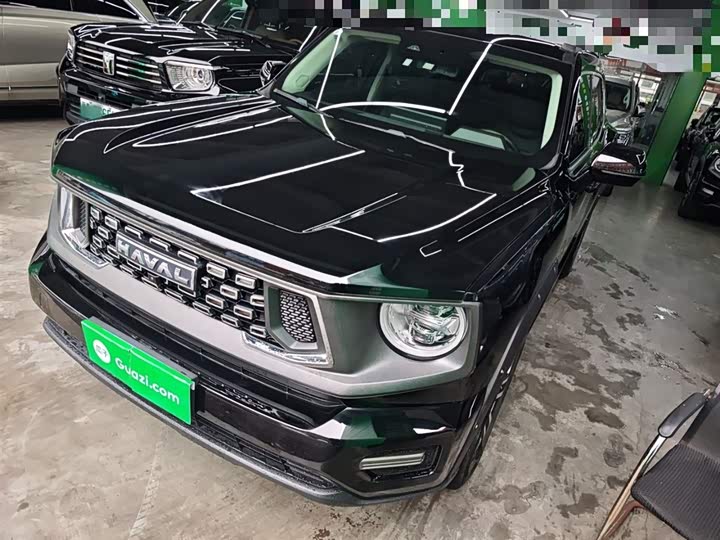 Фото 2 - Haval H-Dog