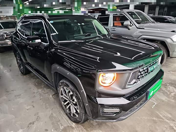 Фото 4 - Haval H-Dog