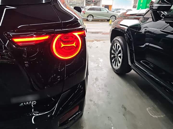 Фото 8 - Haval H-Dog