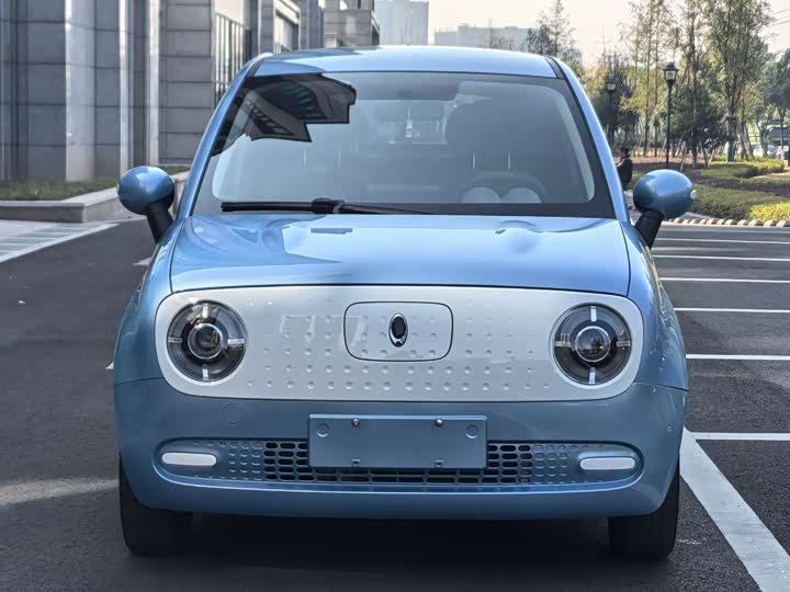 Фото 2 - Ora Black Cat