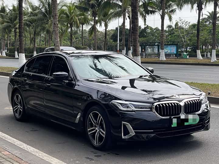 Фото 4 - BMW 5 Series Hybrid