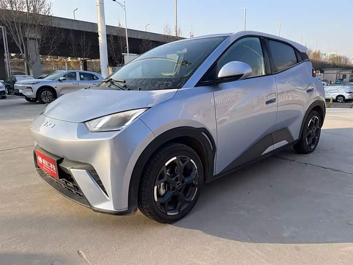 Фото 1 - BYD Seagull