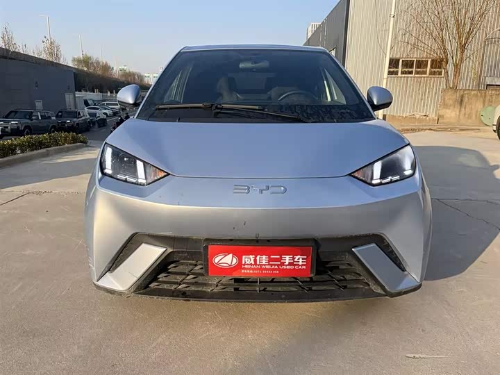 Фото 2 - BYD Seagull