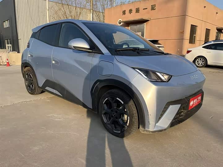 Фото 3 - BYD Seagull