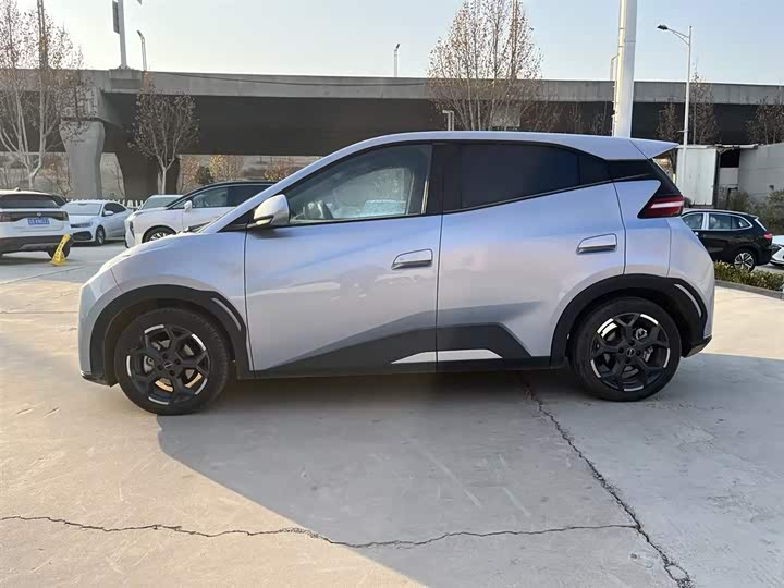 Фото 4 - BYD Seagull