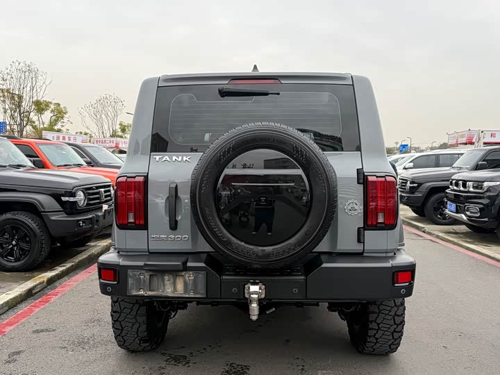 Фото 5 - Tank 300