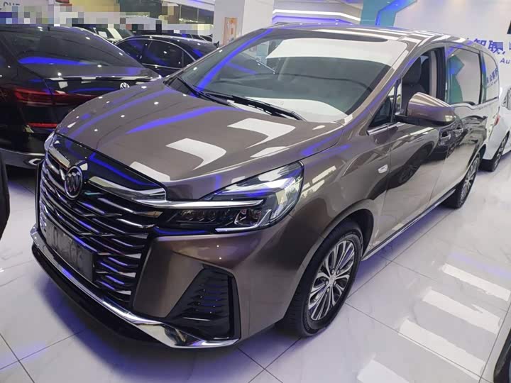 Фото 1 - Buick GL8 ES