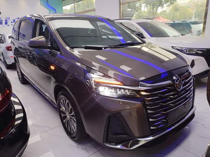 Фото 4 - Buick GL8 ES