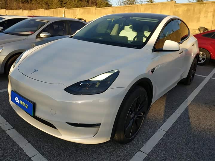Фото 1 - Tesla Model Y