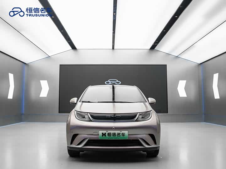 Фото 2 - BYD Dolphin