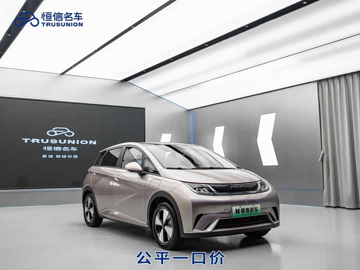 Фото 3 - BYD Dolphin