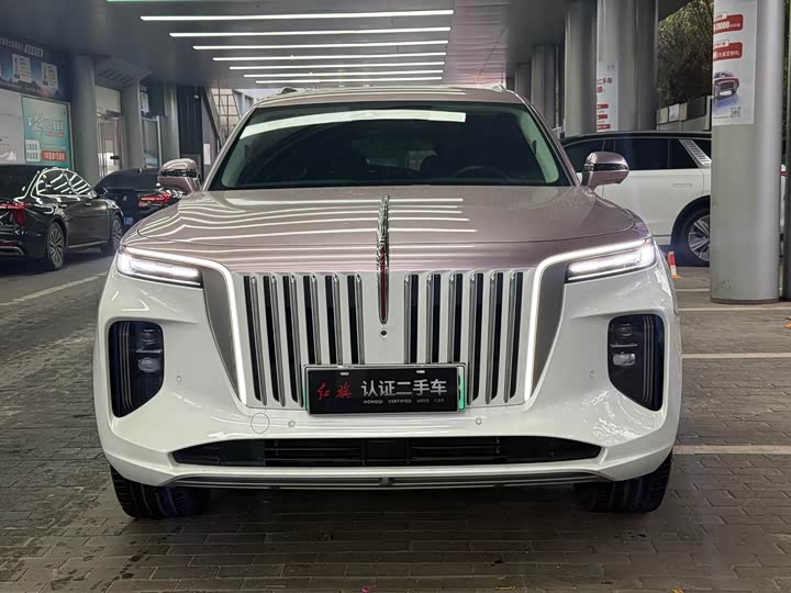 Фото 2 - Hongqi E-HS9