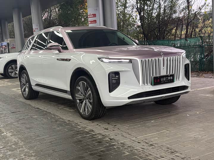 Фото 3 - Hongqi E-HS9