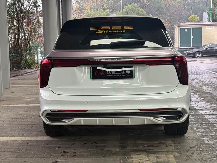 Фото 5 - Hongqi E-HS9