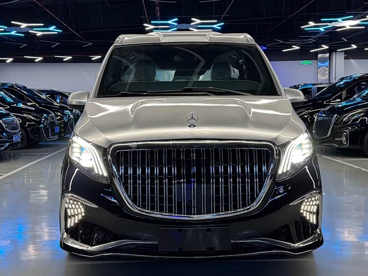 Фото 2 - Mercedes-Benz Vito