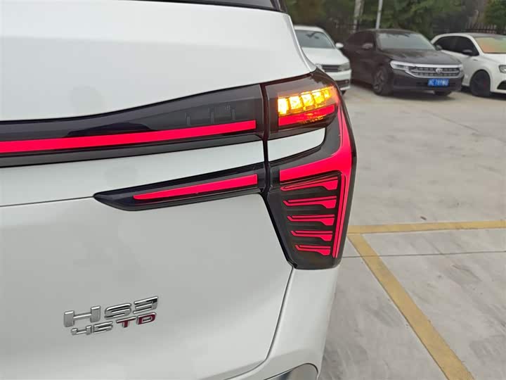 Фото 8 - Hongqi HS3