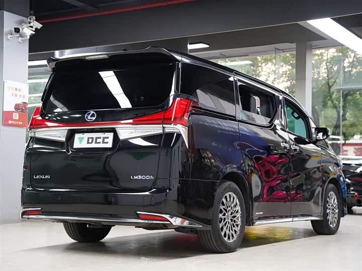 Фото 7 - Lexus LM