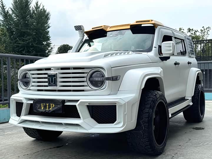 Фото 1 - Tank 300