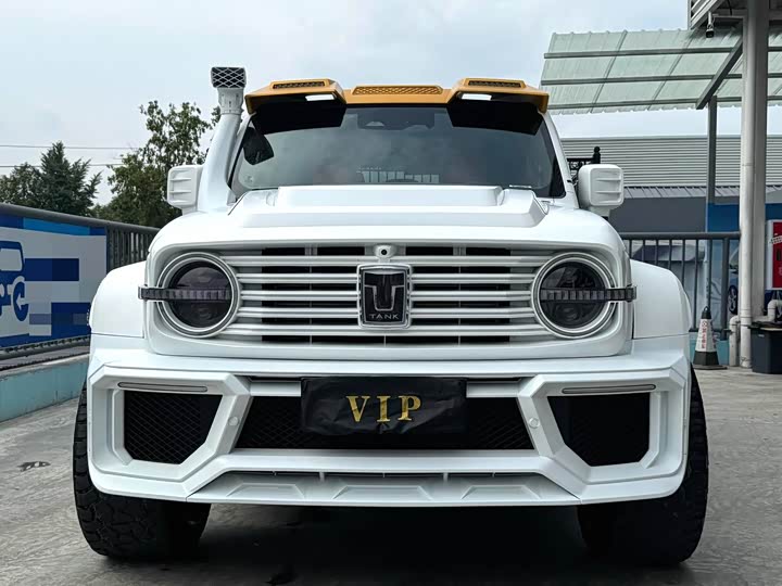 Фото 2 - Tank 300