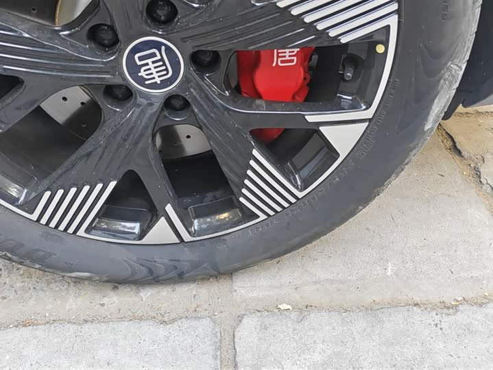 Фото 6 - BYD Tang Hybrid/EV