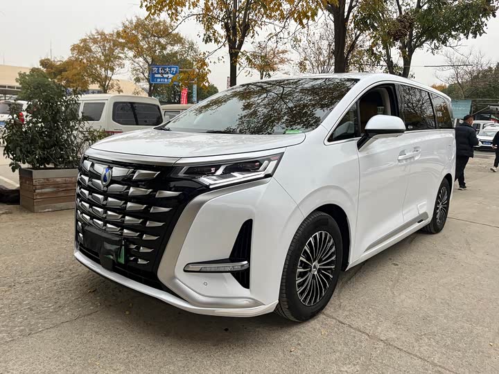 Фото 1 - Denza D9