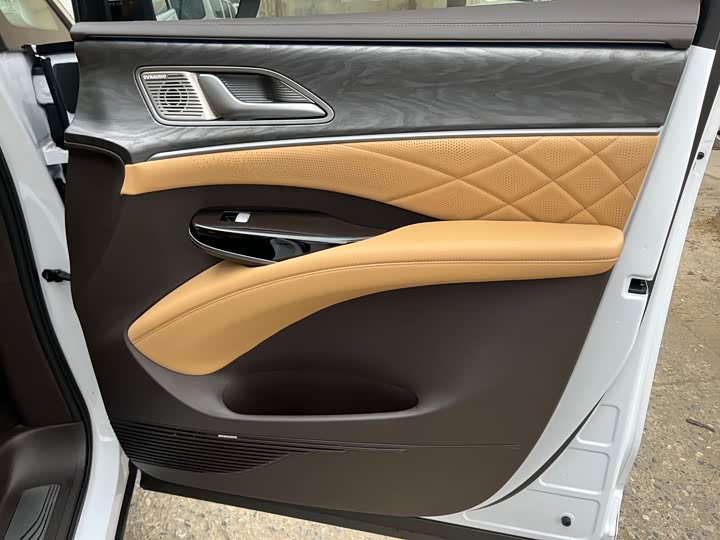 Фото 6 - Denza D9