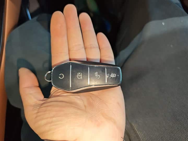 Фото 9 - BYD Han L