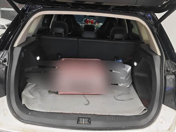 Фото 4 - Hongqi HS3