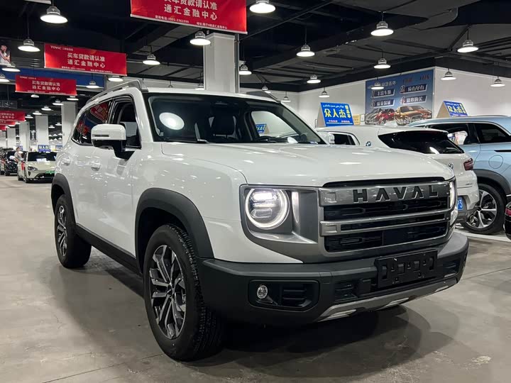 Фото 2 - Haval Dargo