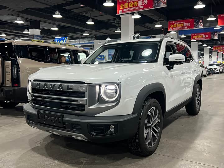 Фото 3 - Haval Dargo