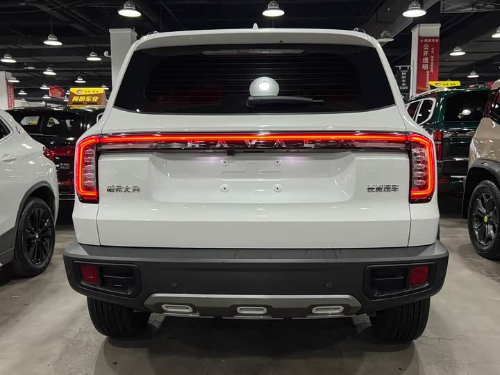 Фото 4 - Haval Dargo