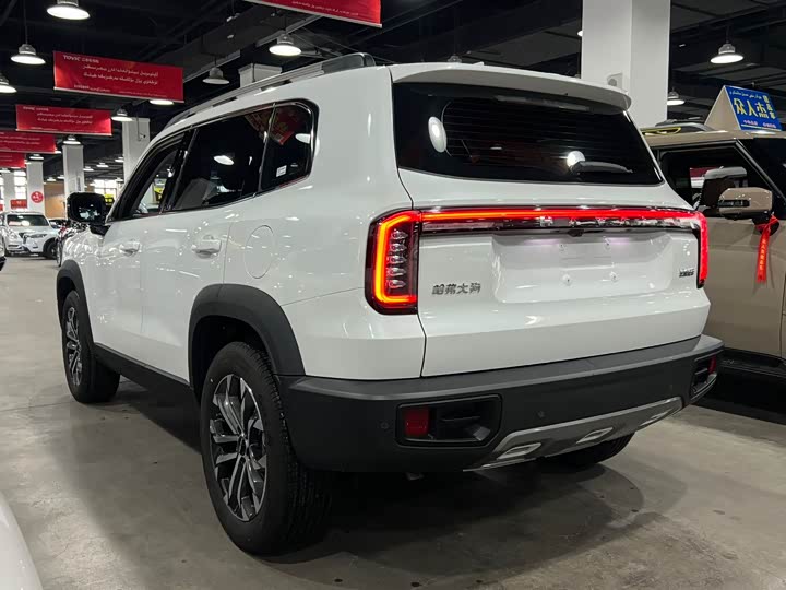 Фото 5 - Haval Dargo