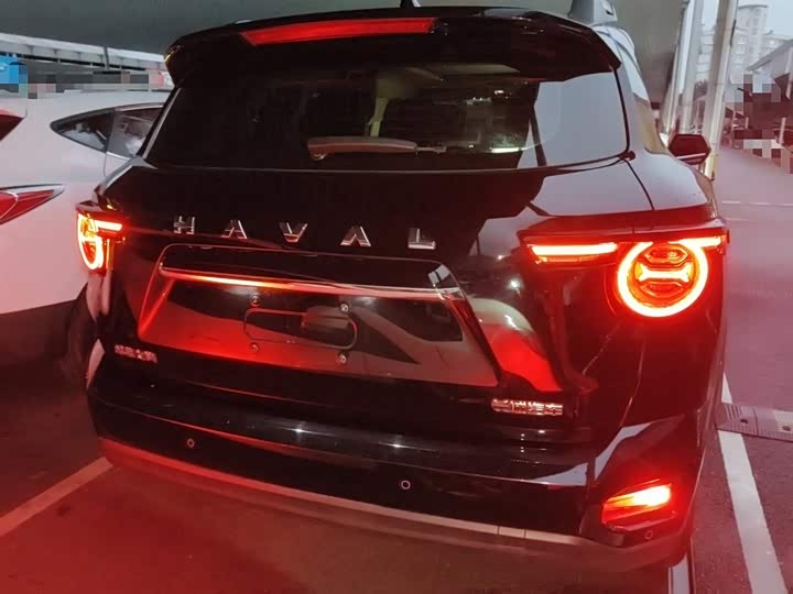 Фото 6 - Haval H-Dog