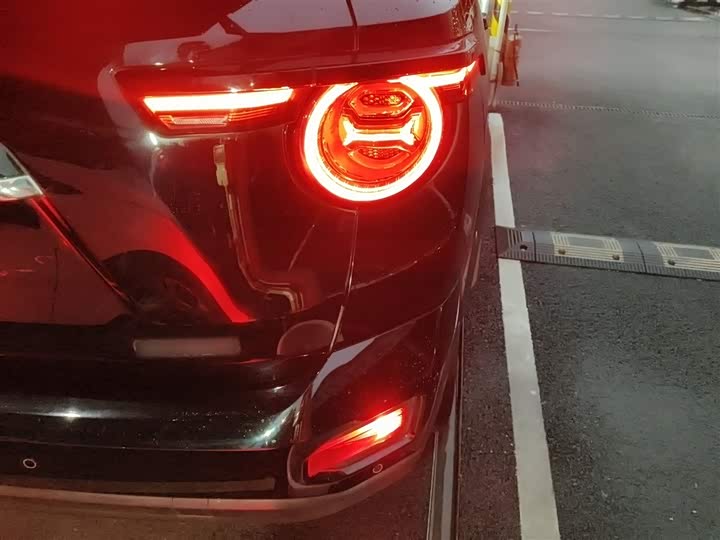 Фото 8 - Haval H-Dog