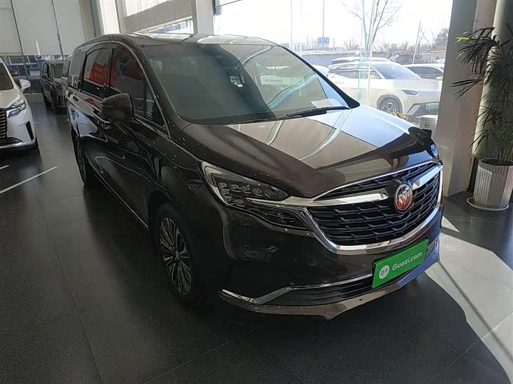 Фото 4 - Buick GL8 ES