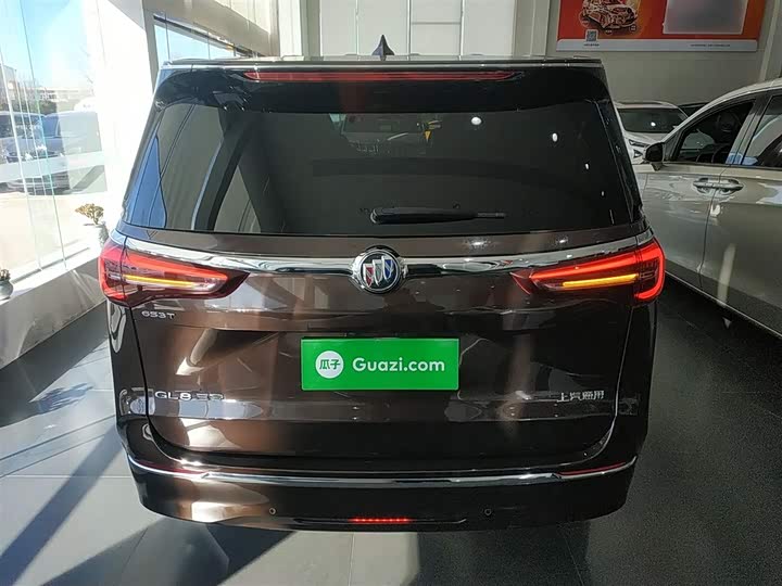 Фото 6 - Buick GL8 ES