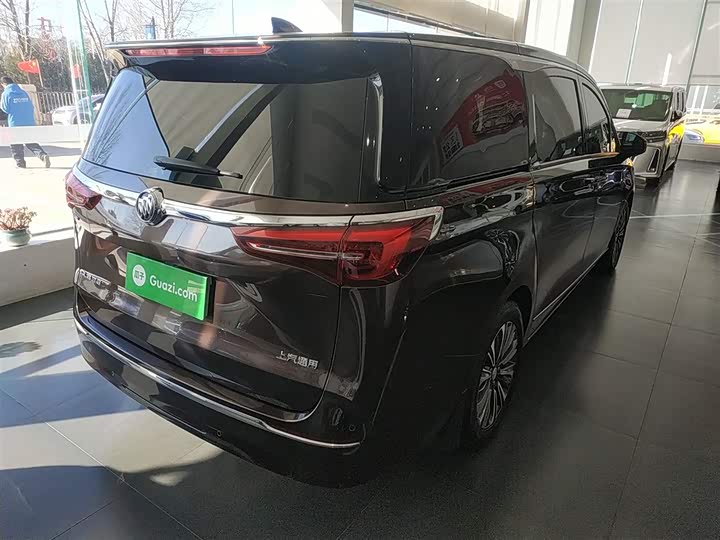 Фото 7 - Buick GL8 ES