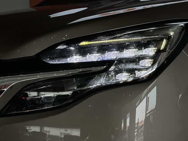 Фото 4 - Buick GL8 ES