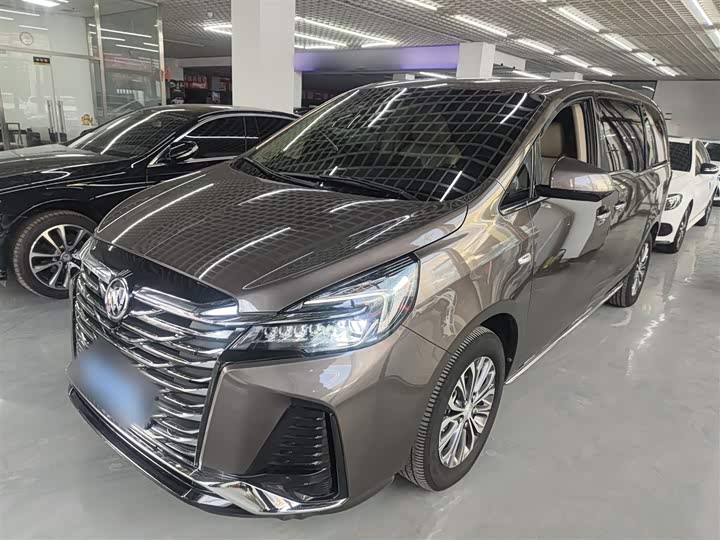 Фото 1 - Buick GL8 ES