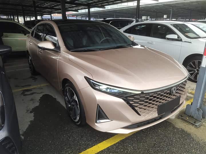 Фото 4 - Changan Raeton Plus