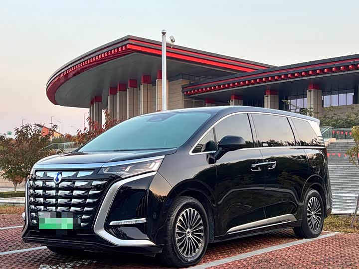 Фото 2 - Denza D9