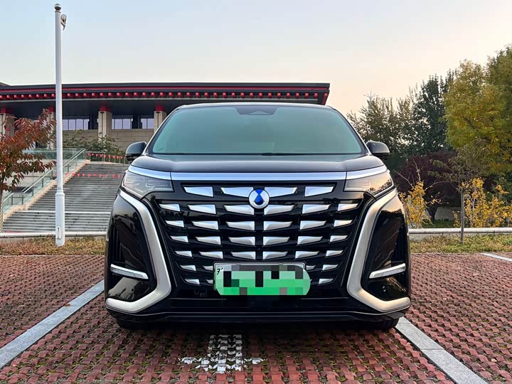 Фото 3 - Denza D9