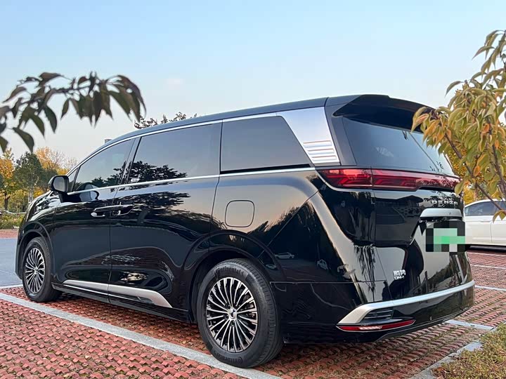 Фото 4 - Denza D9