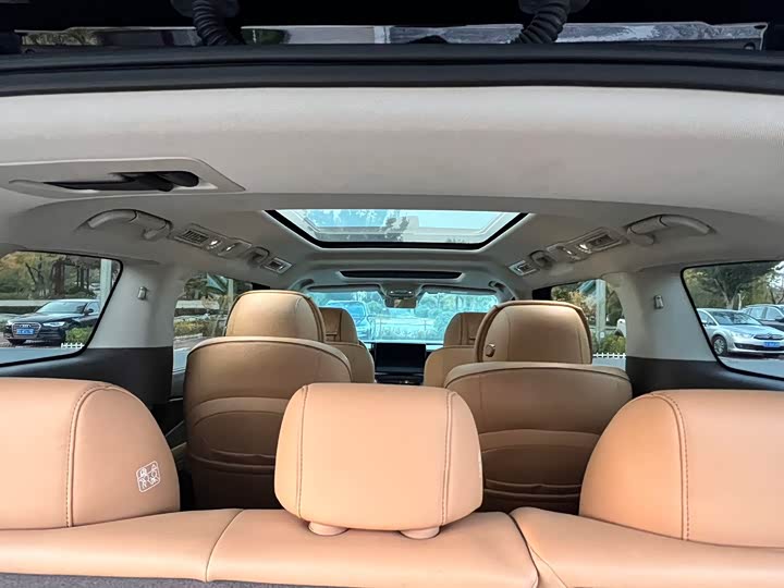 Фото 6 - Denza D9