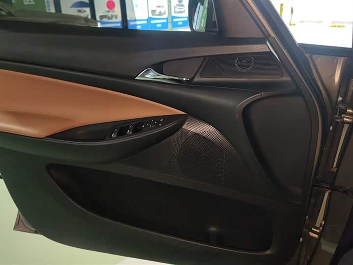 Фото 7 - Buick GL6