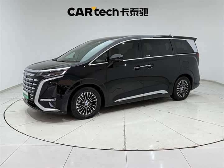 Фото 1 - Denza D9