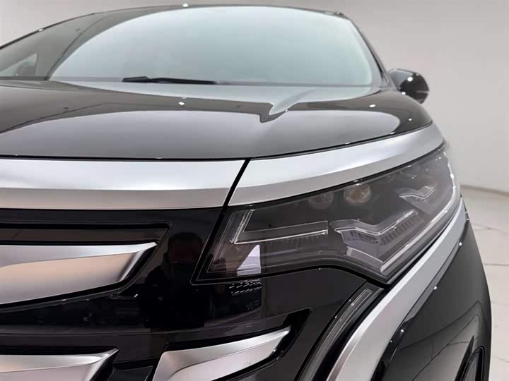 Фото 2 - Denza D9