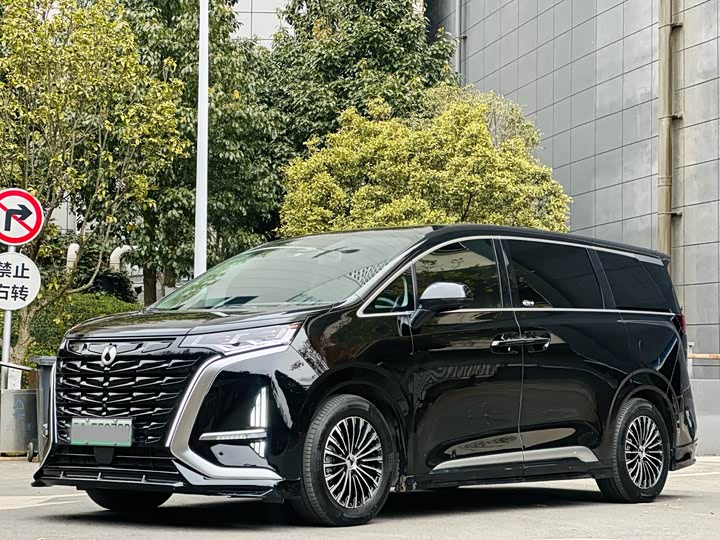 Фото 1 - Denza D9