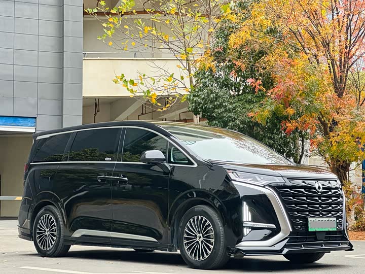 Фото 2 - Denza D9