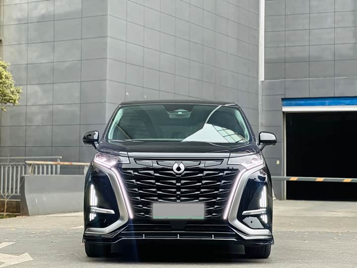 Фото 3 - Denza D9